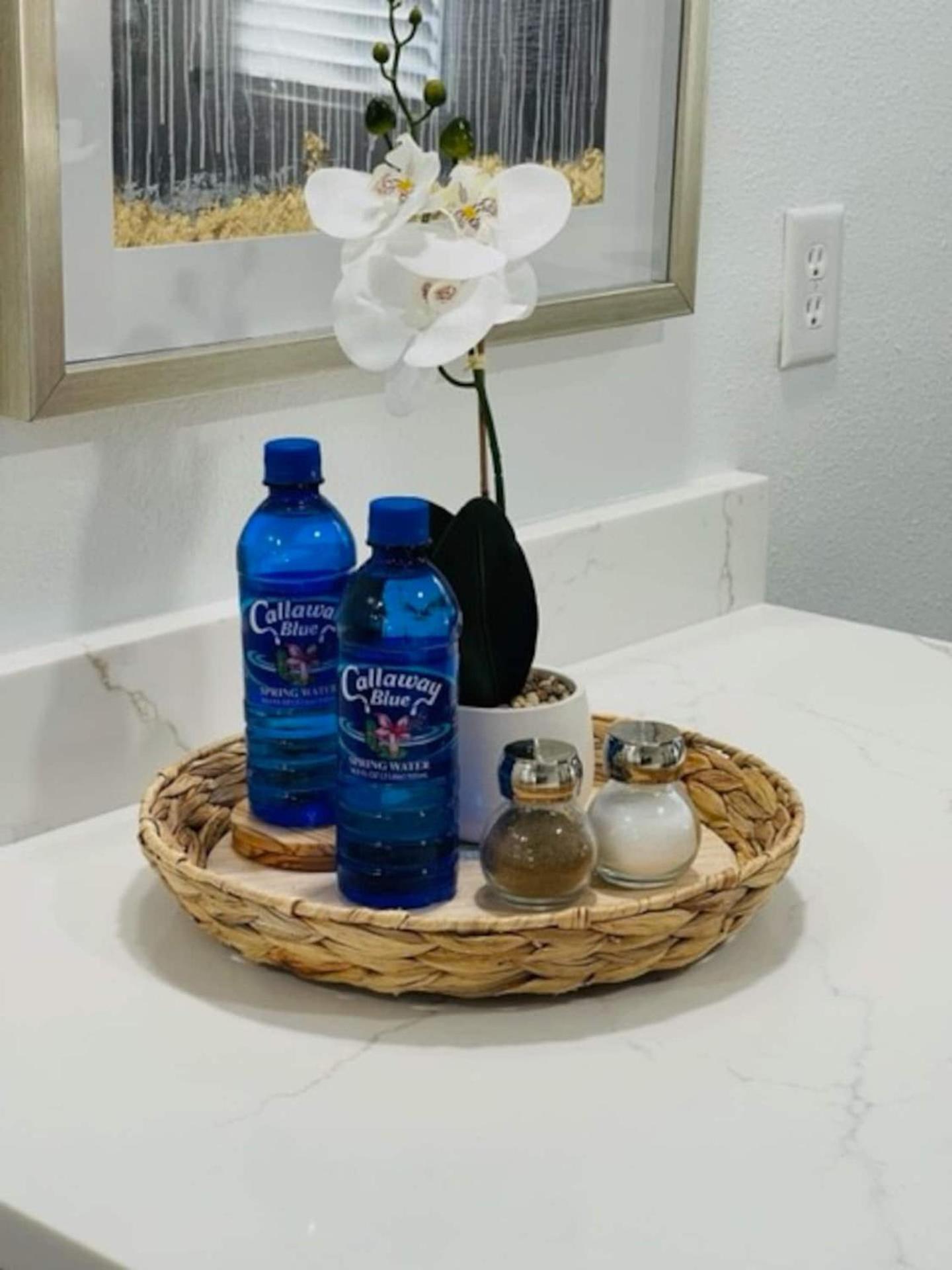 Walk Everywhere! 1-Bedroom Gem In Downtown Hub New Port Richey Luaran gambar