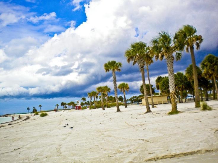 Walk Everywhere! 1-Bedroom Gem In Downtown Hub New Port Richey Luaran gambar