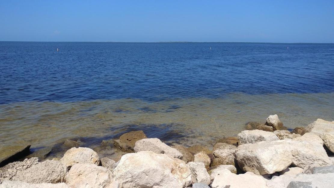 Walk Everywhere! 1-Bedroom Gem In Downtown Hub New Port Richey Luaran gambar