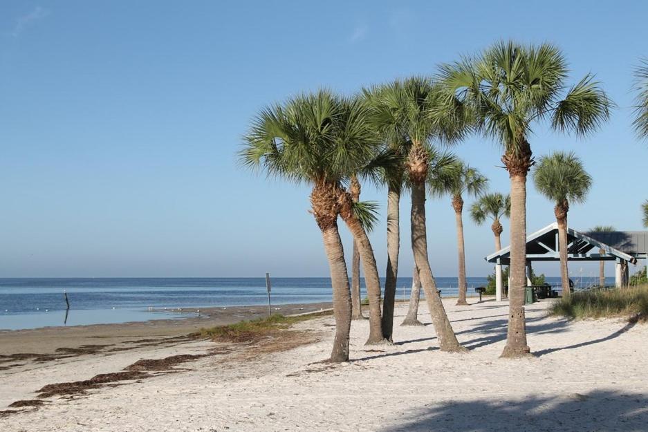Walk Everywhere! 1-Bedroom Gem In Downtown Hub New Port Richey Luaran gambar